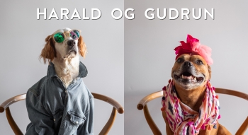 THUMBNAIL Harald og Gudrun vil til Spania